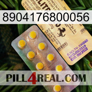 8904176800056 new06
